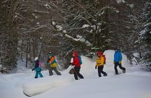 Snowshoeing Tour in Jacques-Cartier National Park