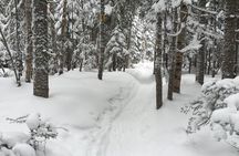 Snowshoeing Tour in Jacques-Cartier National Park