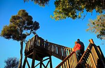 Motuara Wildlife Sanctuary Tour and Dolphin Cruise from Picton