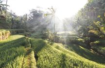 Ubud and Tanah Lot Temple Tour