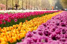 Day Trip to Keukenhof Gardens from Amsterdam with Tour Guide