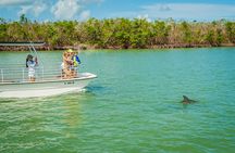 Marco Island Dolphin Sightseeing Tour