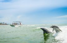 Marco Island Dolphin Sightseeing Tour