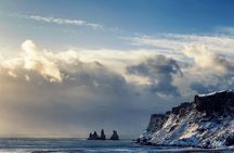  Winter South Coast Day Tour by Minibus from Reykjavik