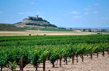Ribera del Duero Small Group Tour: Tapas & Wine Tasting
