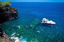 Luxury Kona Coast Snorkel Tour Including Lunch 