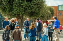 Ultimate Johannesburg Soweto Experience with Apartheid Museum