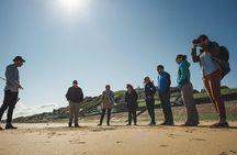 Full-Day US Battlefields of Normandy Tour from Bayeux (A3LST)