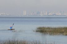 Tigre Delta Sightseeing Cruise from Buenos Aires