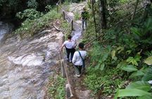 Authentic Mae Kham Pong Village Cultural Experience