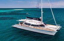 Outer Reef Mackay Cay Sail & Snorkel Adventure from Port Douglas