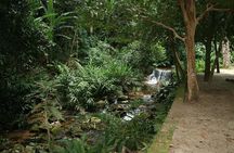 Jeep Tour Botanical Garden and Tijuca Rainforest with Tickets