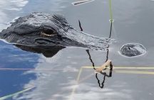 Air boat Ride and Nature Walk in Everglades National Park