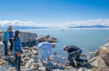 Great Salt Lake Guided Bus Tour from Salt Lake City