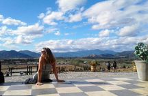 Private Wine Tasting tour in Casablanca Valley Vineyards