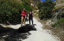 Ecuador Treasures Bucket List 8 Days Tour