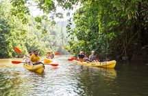 Wailua River Paddle