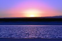 Cejar Lagoon, Tebinquiche Tour and Ojos del Salar from San Pedro de Atacama