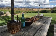 Santa Ynez Valley Biking and Wine Tasting Tour