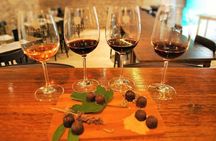 Chocolate and Wine Tasting Small Group Tour from Hvar