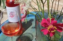 Hvar Wine tasting small group experience
