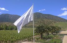 Full day private wine tour casablanca valley from Santiago