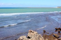 Full-Day Tour of Mombasa