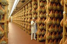 Discover Parma’s Flavors: Parmigiano & Prosciutto Food Tour 