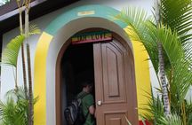 Bob Marley Mausoleum Tour from Ocho Rios