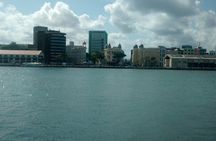 City Tour of Recife Including the Park of Sculptures 