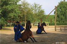Budapest Puszta Day Trip to Kecskemet with Horse Show & Lunch
