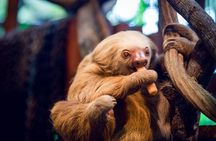 Skip the Line:Day Ticket-La Paz Waterfall Gardens Nature Park & Wildlife Refuge