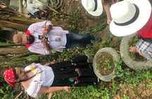 Coffee Tour