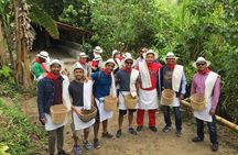 Coffee Tour