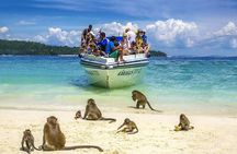 Phi Phi Island from Phuket by Speedboat with World Famous Maya Bay (SHA Plus)