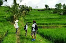 Jatiluwih full day e-bike cycling with lunch & trekking program