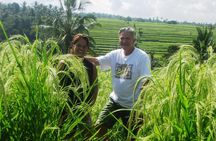 Jatiluwih full day e-bike cycling with lunch & trekking program