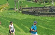 Jatiluwih full day e-bike cycling with lunch & trekking program