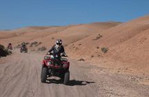 Quad bike and camel ride in the palm grove
