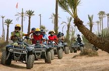 Quad bike and camel ride in the palm grove