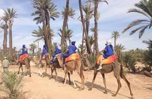 Quad bike and camel ride in the palm grove