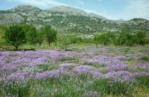 Katharo Route Tour from Agios Nikolaos