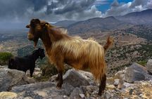 Katharo Route Tour from Agios Nikolaos