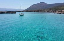 Sea Star Coral Express Cruise from Paphos