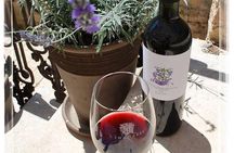 The Best of Hvar Small Group Tour with Wine Tasting and Dinner 