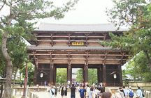 One-Day Walking Tour of Amazing 8th Century Capital Nara
