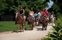 Puerto Plata Triple Adventure