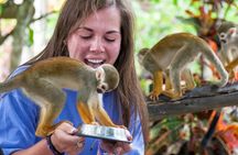 Punta Cana Monkeyland and Zipline Two Adventures in One Day