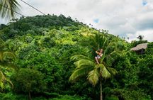 Punta Cana Monkeyland and Zipline Two Adventures in One Day