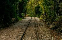 Machu Picchu Trips One Day Tour with Inca Rail Train from Cusco